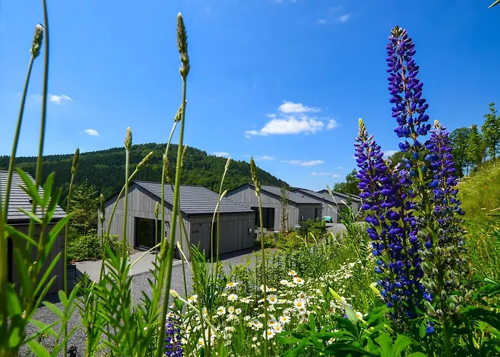 Sauerland Lodge - Haus Juliana Winterberg